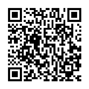 直接向龙虎门的圣王透露剑尘在秦皇国中的地位究竟有多么崇高二维码生成