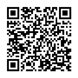 直接在六阶星兽火云兽的身上开出一个个巨大的口子二维码生成