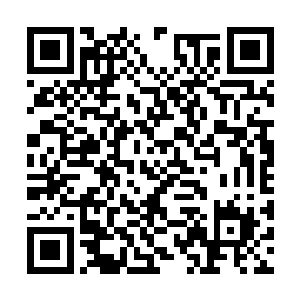 直接在它的身躯之上留下了好多伤痕了……甚至于二维码生成