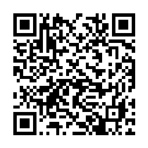 直接在这里将这些各个势力的超能力者一口气端了二维码生成