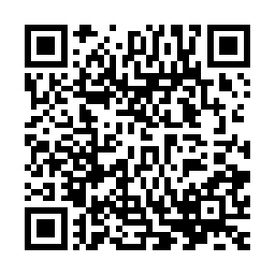 直接导致东逸君百和曹克勤两人布下的防御罩都在剧烈的晃动二维码生成