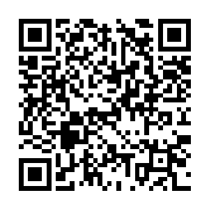 直接导致玛莎拉蒂与前方的布加迪威航撞击在一起二维码生成