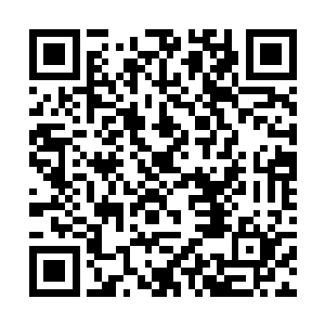 直接将一个磨盘大小的负重车轮从车体履带上扯下来二维码生成