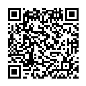 直接将五大将身上的东西全都收进了自己的小鼎之内二维码生成