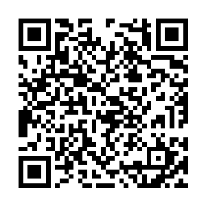 直接将司南的人完全压制了……而后两船分开之后二维码生成