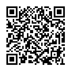 直接将小金放出来把他们收复之后收进了戒指中二维码生成