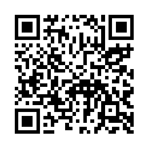 直接将睿哲界主的域界砸开了老远二维码生成