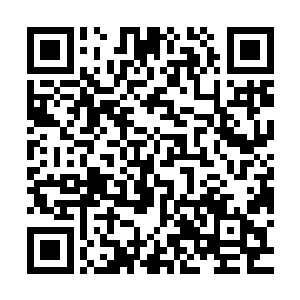 直接将自己的两大剑魄和种种规则之力奥义之力全部都包裹起来二维码生成