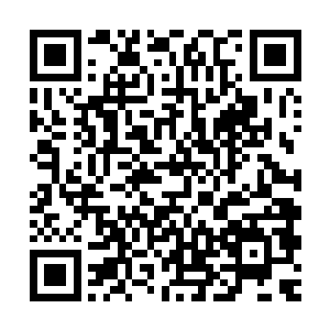 直接将那一具尸体打的跟个筛子似的……不过很快便恢复了过来二维码生成