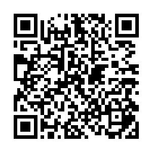 直接将那一百五百颗的绿色晶石转嫁到南宫流云身上二维码生成