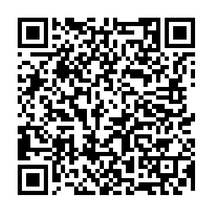 直接将那已经被五行虫吞噬了不少力量的亲卫残魂给吸入到了炼妖壶中进行温养二维码生成