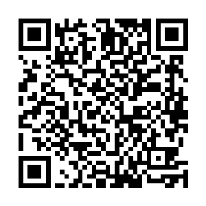 直接就可以拿着这些草药去望仙城太虚宗的商铺兑换仙丹二维码生成
