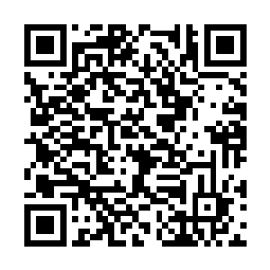 直接就将那上千匹的沙皮狼给拉进了寒冰王座之中二维码生成