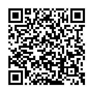 直接就是狠狠一枪刺了过去――只要你砍不死我二维码生成