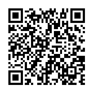 直接就能令意志不坚的对手陷入极度的思维狂乱中二维码生成