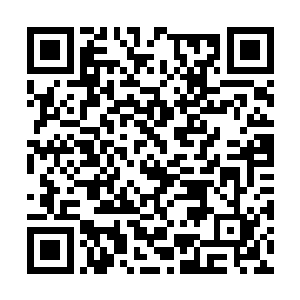 直接带着廖辽和何润卿周嫫谢冰她们去刷国际逼格二维码生成