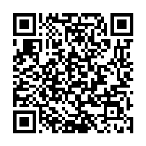 直接快步走到离自己最近的一架空骑兵1型的飞机前二维码生成