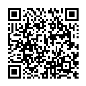 直接打在脸上的弹丸清晰的立刻绽开一个淤青的血点二维码生成
