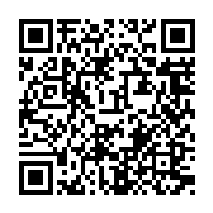 直接打横抱起身子已经柔软到不可思议的洛天蕊二维码生成