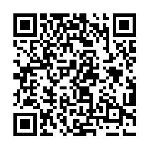 直接扔给了洛清越――洛清越今日里可没有半分收获二维码生成