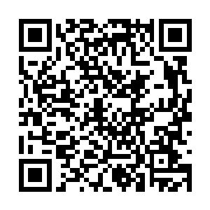 直接把夜辜星当成了平日里可以搓揉捏扁的小明星二维码生成