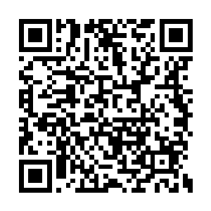 直接把少正豪和丑婶都击打如浪潮中翻滚的扁舟二维码生成