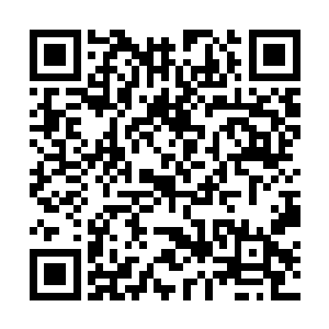 直接把自己的一缕神识裹着血妖姬之力输入到阵法中~二维码生成