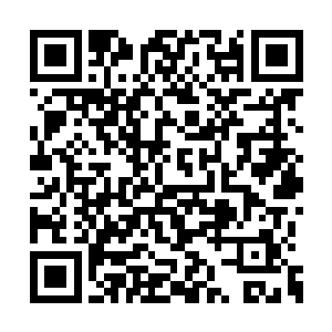 直接抓了一个大大的枕头朝着他的方向砸了过去二维码生成