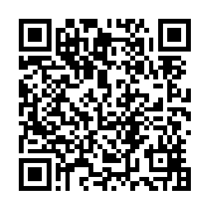 直接抓向那柄意识临摹的大刀……可是手指还没触碰到刀身二维码生成