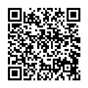 直接拖着血幽紫的意识体在神魂共享中固定下来二维码生成