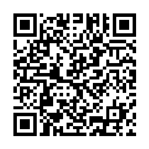 直接推翻了他们长久以来对家族建立起来的归属感和荣誉感二维码生成