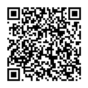 直接提升到了至尊境初期的巅峰了……距离至尊境中期都只差那么一丁点而已二维码生成