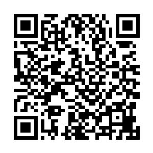 直接是放弃了杀手皇朝的领队身影出现在了连云子的后方二维码生成