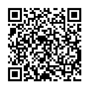 直接派出了大量的高手以拉网式的搜索对龙傲天进行围杀二维码生成