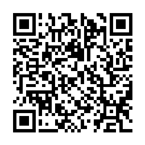 直接狠狠的一拳朝着炼狱魔宗的护山大阵上面轰去二维码生成