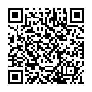 直接用一根木棍穿上就开始架在火堆上烤了起来二维码生成