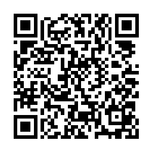 直接用十万美元就砸得对方这几个首领头昏眼花二维码生成