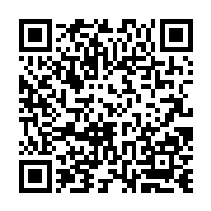 直接用自己的元神沟通起一直以来都很少动用的法宝道印二维码生成