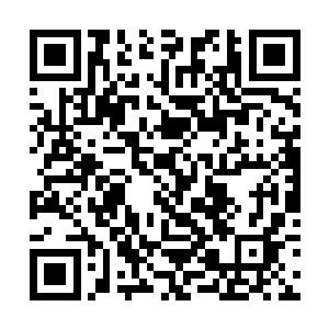 直接用魂力操纵那个软塌塌的玩意包裹住少年的胸膛二维码生成