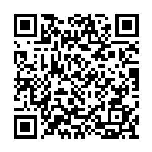直接的一巴掌就把所有人的高傲全部都给打掉了二维码生成