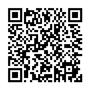 直接被削成了人棍――正如食人魔最喜欢对人类做的那样二维码生成