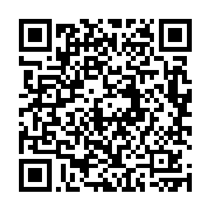 直接被弄的都哭了……这可是很多人都不曾见过的场面二维码生成