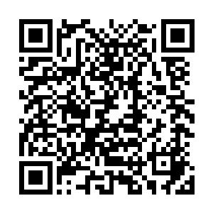 直接被踩扁的……通天猿在正常状态都已经高达三十多米了二维码生成
