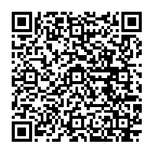 直接要让张铁家里的一个侍卫带他到金光城卖小动物的地方去准备去挑选一个什么宠物二维码生成