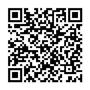 直接覆盖在了那两个被青色玄光所阻挡的五色大手之上二维码生成