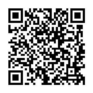 直接让这些原本就陷入劣势的风雷帮的强者们处境更加的危险了二维码生成