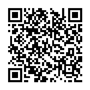 直接让那仙人体验了一把仙兽的一脚是什么感觉后二维码生成
