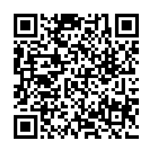 直接跃升为整个怀远堂最高层的领导者和家族大事的决策者二维码生成