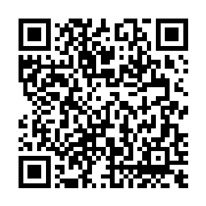 直接轰出就能把那剑轮和来不及逃开的弟子也卷入了其中二维码生成