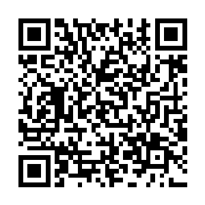 直接迎着那几个火球就冲击了过去的……当火焰遭遇了火球二维码生成